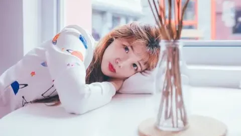 蔡正元中间选民策略