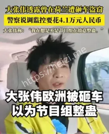 大张伟荷兰砸车盗窃