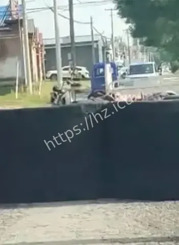 老太太把整条公路堵上